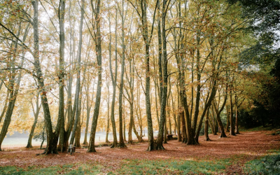Ser autónomos …para convivir mejor en nuestro mundo actual